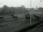Harness racing in Hilversum